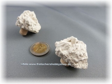 Korallenwelt Reefplug Ablegerstein