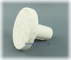 Reef Disc Maxi 1 Stck 3,3cm  - Ablegerstein mit Pin